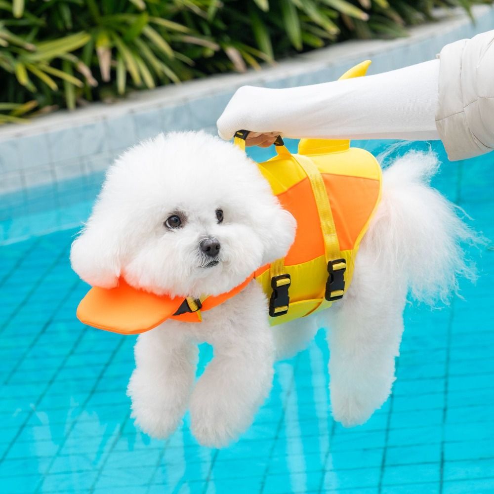 เสื้อชูชีพสุนัขทรงฉลาม กันน้ำ  - Life Jacket บทวิจารณ์และราคา